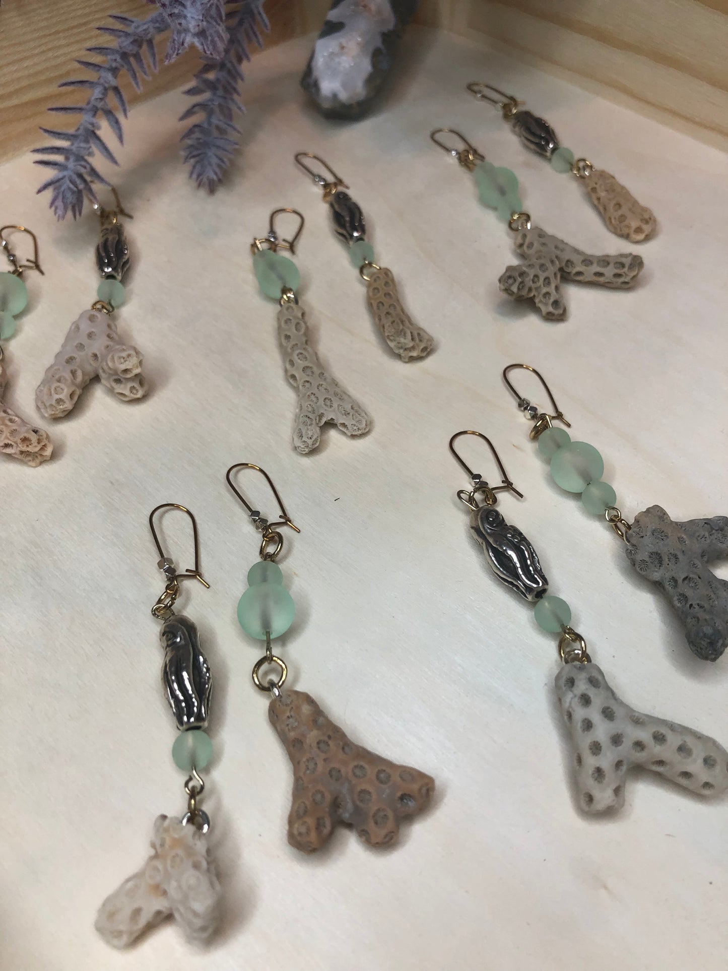 Asymmetrical Coral Squids
