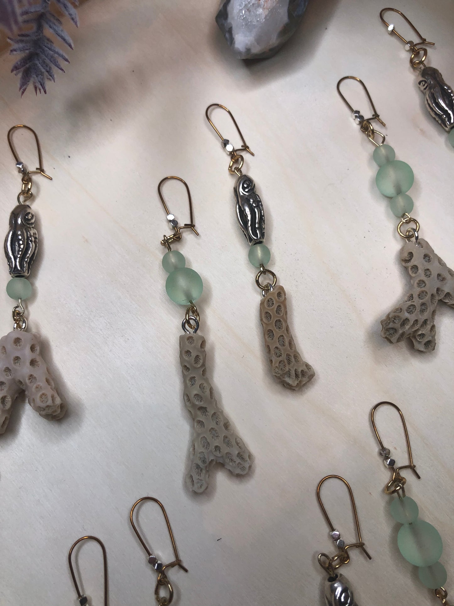 Asymmetrical Coral Squids