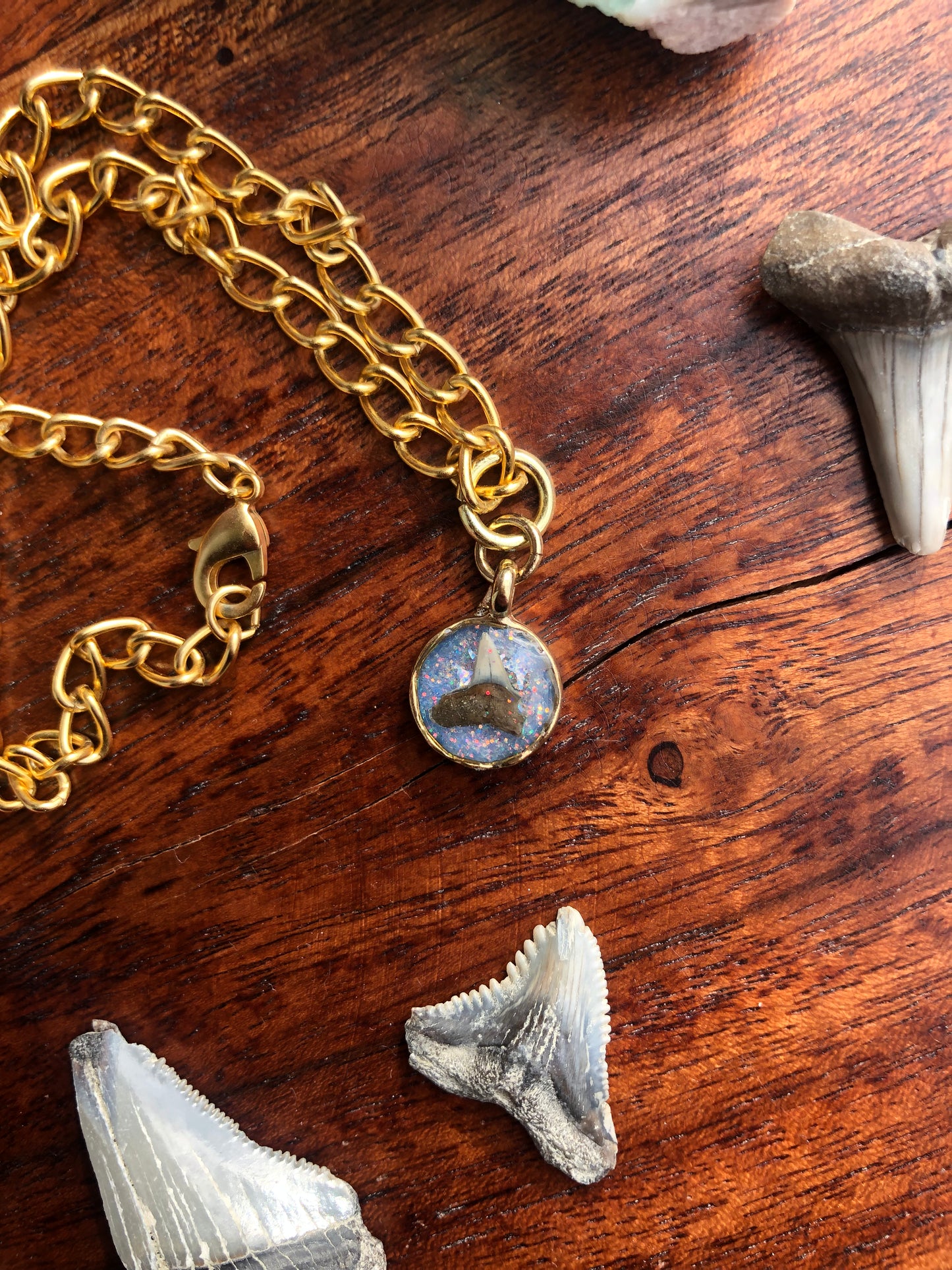 Charming Shark Tooth Necklace