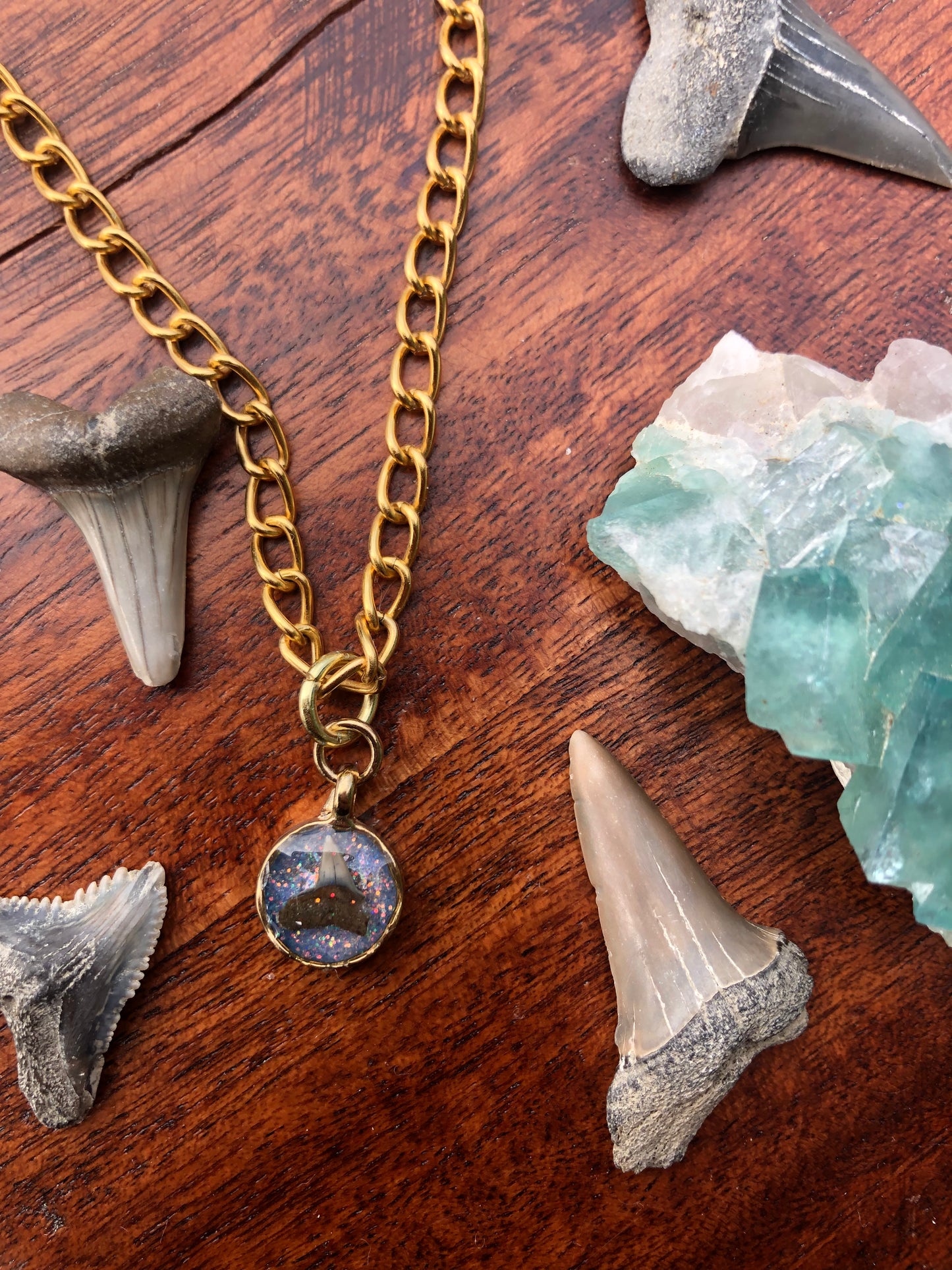 Charming Shark Tooth Necklace