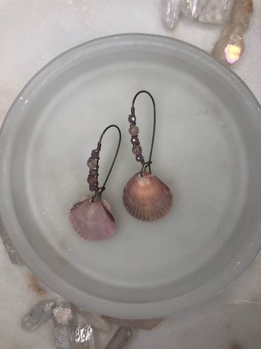 Scallops