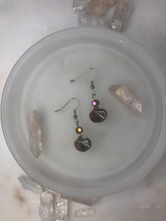 Glass Seashells