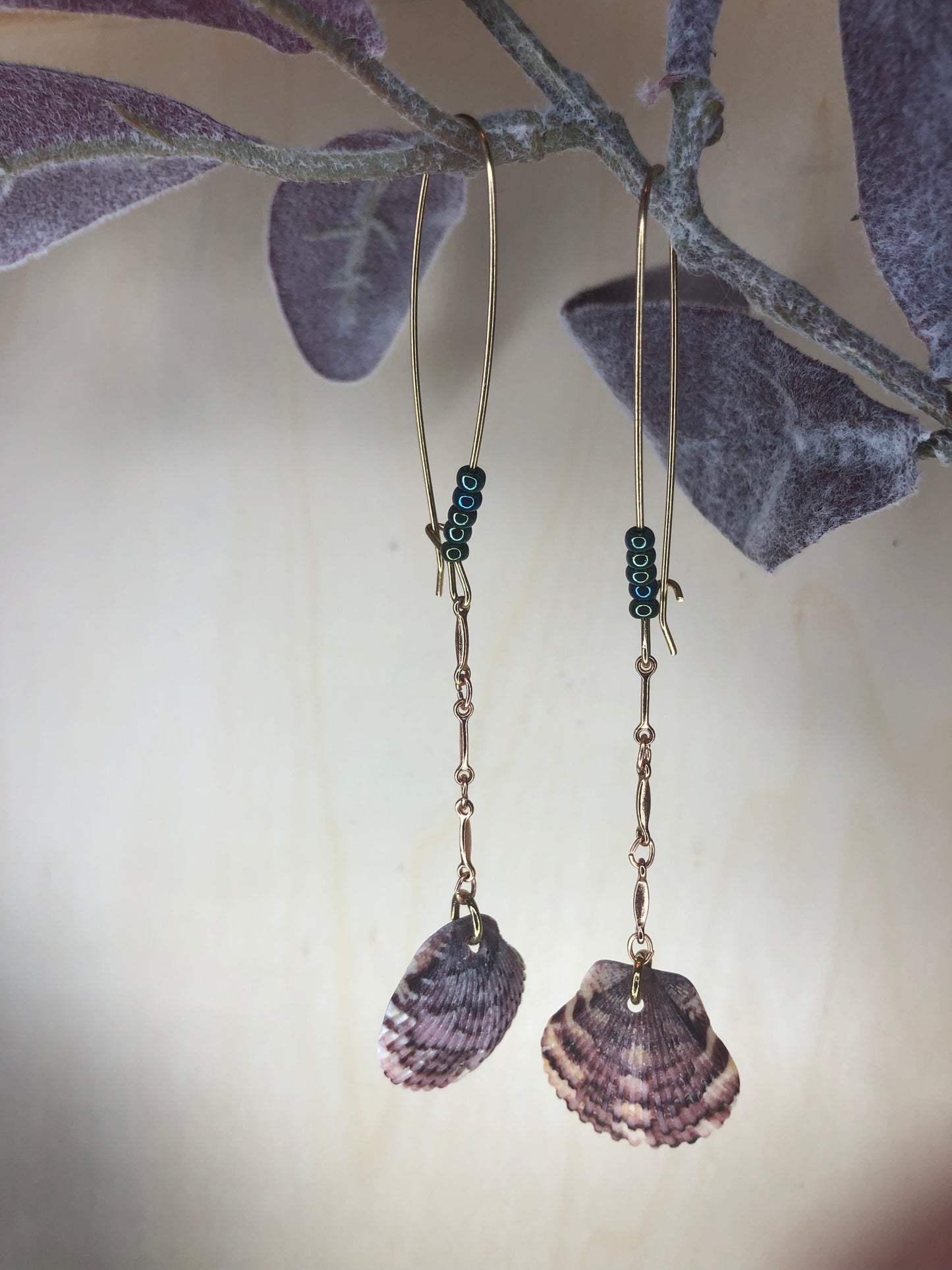 Scallop Sunset Drops