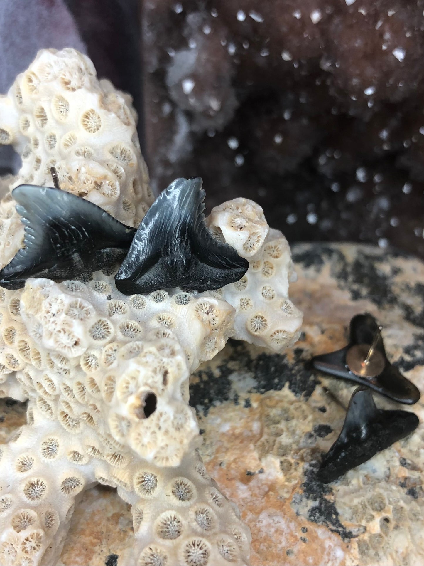 Shark Tooth Posts