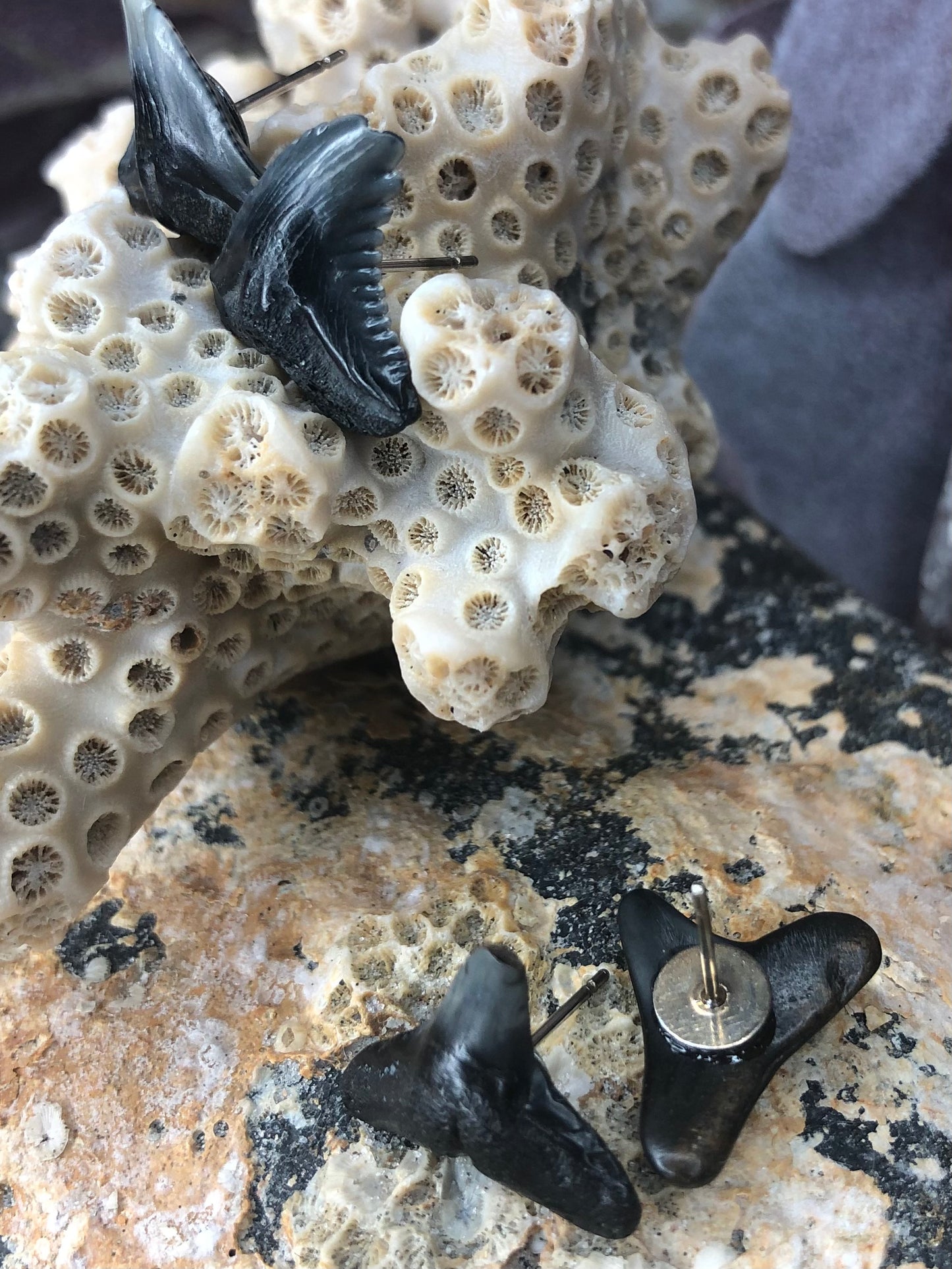Shark Tooth Posts