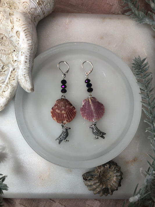 Scallop Ravens